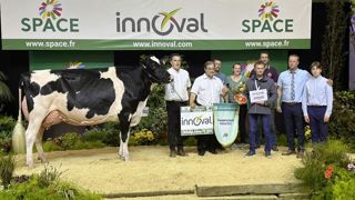 Noe Pensylvani, élue grande championne du concours Prim'Holstein lors du Space 2024. Noe Pensylvani, élue grande championne du concours Prim'Holstein lors du Space 2024.