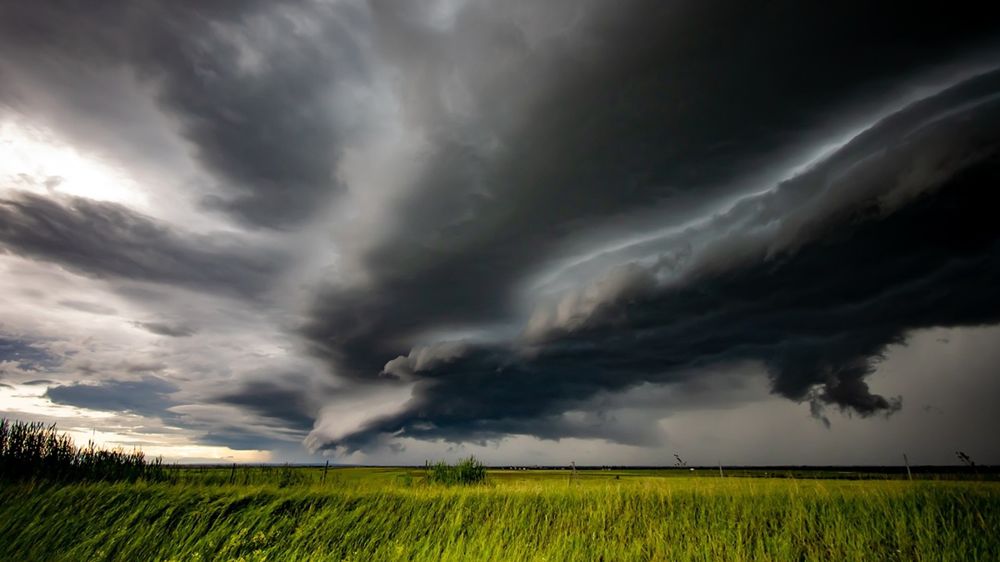 L'année 2024 a été marquée par un excès de pluies.