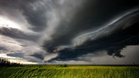 L'année 2024 a été marquée par un excès de pluies.