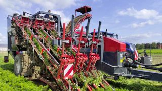 La nouvelle arracheuse de carottes de Dewulf peut récolter trois rangs tout en restant sous les 3 mètres de largeur sur route. La nouvelle arracheuse de carottes de Dewulf peut récolter trois rangs tout en restant sous les 3 mètres de largeur sur route.
