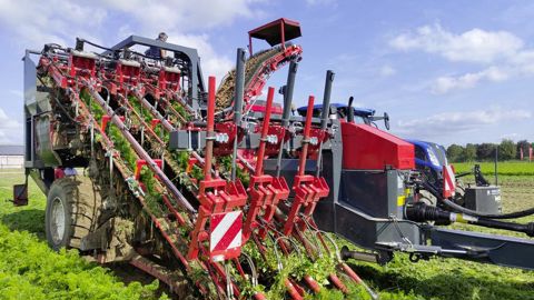 La nouvelle arracheuse de carottes de Dewulf peut récolter trois rangs tout en restant sous les 3 mètres de largeur sur route.