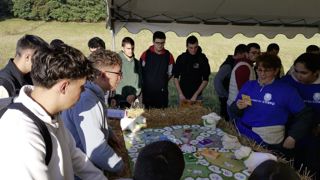 Les jeunes ont joué à « La BEELE aventure » pour découvrir et se perfectionner sur les références de la filière ovine. Les jeunes ont joué à « La BEELE aventure » pour découvrir et se perfectionner sur les références de la filière ovine.