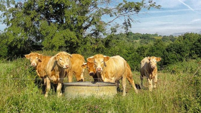 Deux millions de doses ont été commandées par l'Etat.