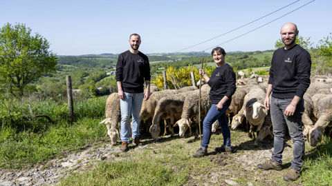 Pierre-Marin, Vincent et leur mère Anne Fabry espèrent leur propre atelier de transformation de laine. Pierre-Marin, Vincent et leur mère Anne Fabry espèrent leur propre atelier de transformation de laine.