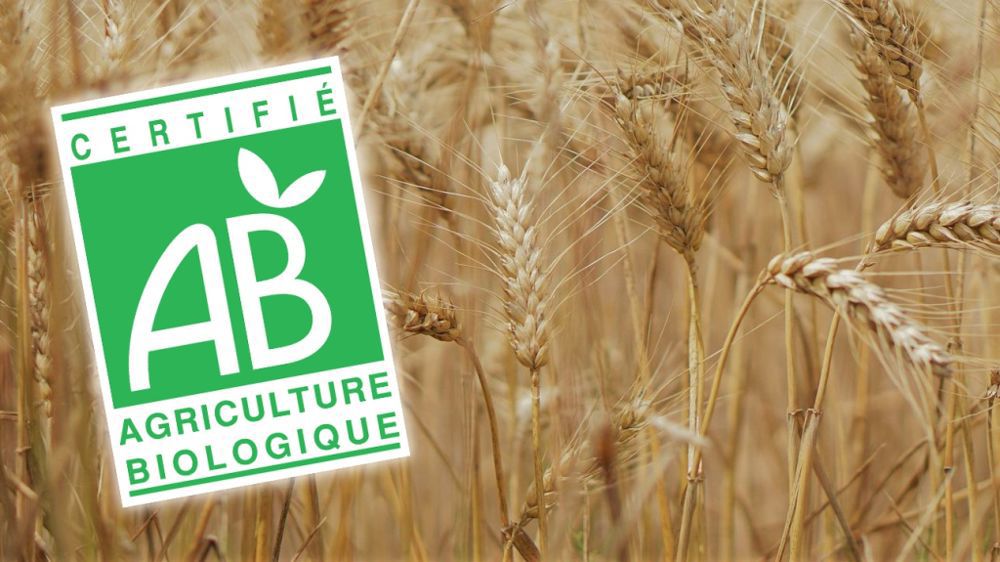 « L'UE pourrait bien rater le coche » sur le bio, met en garde la Cour des comptes européenne.