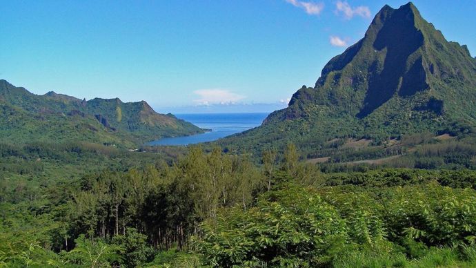 Imaginez la Normandie en Polynésie : ou comment produire du lait à 15 000 km