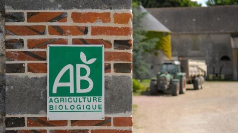 La consommation de bio représente 6 % des dépenses alimentaires des ménages en France. La consommation de bio représente 6 % des dépenses alimentaires des ménages en France.