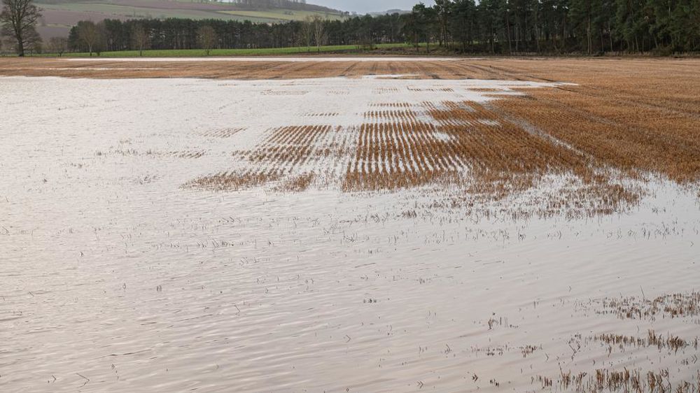 Champ inondé