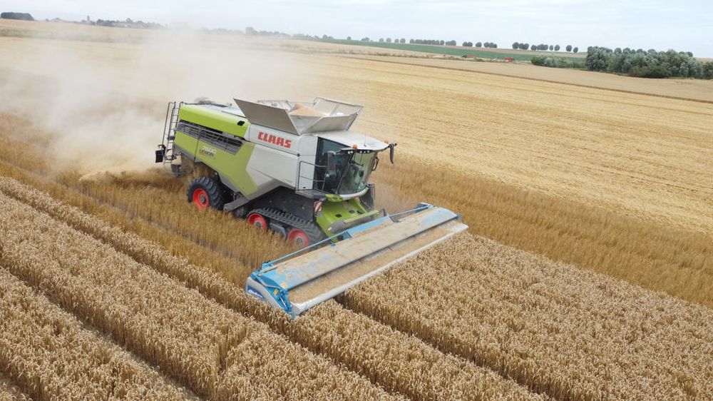 Une mise en route de la barre effeuilleuse Shelbourne Stripper Header s’est déroulée fin juillet à Auvers-sur-Oise en Ile de France.