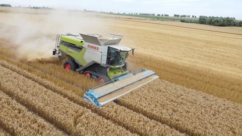 Une mise en route de la barre effeuilleuse Shelbourne Stripper Header s’est déroulée fin juillet à Auvers-sur-Oise en Ile de France.