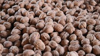 Ce nouvel accord interprofessionnel sur la noix fraîche est valable pour 2024, 2025 et 2026.