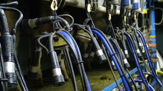 Lactalis a annoncé, mercredi 25 septembre, réduire les volumes de collecte en France dans un contexte de « volatilité des marchés internationaux ». Lactalis a annoncé, mercredi 25 septembre, réduire les volumes de collecte en France dans un contexte de « volatilité des marchés internationaux ».