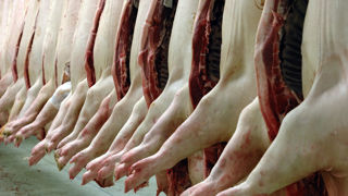 5,5 millions de tonnes de viandes porcines, charcuteries, graisses et abats ont transité dans le monde, hors échanges intra-européens, de janvier à juin 2024. 5,5 millions de tonnes de viandes porcines, charcuteries, graisses et abats ont transité dans le monde, hors échanges intra-européens, de janvier à juin 2024.