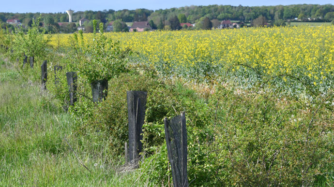 AgriBest permet aux agriculteurs d'évaluer de façon autonome la performance de leurs pratiques vis-à-vis de la biodiversité.