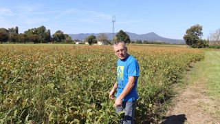 Au maximum, la SAU de Jean-Pierre Michallat a atteint 63 ha cultivés en maïs, soja et herbe. Elle est redescendue à 45 ha, mais plus groupés autour du bâtiment. Au maximum, la SAU de Jean-Pierre Michallat a atteint 63 ha cultivés en maïs, soja et herbe. Elle est redescendue à 45 ha, mais plus groupés autour du bâtiment.