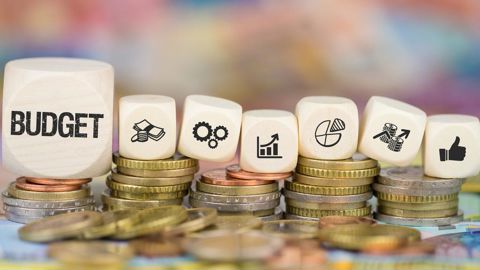 Le budget affecté au ministère de l'agriculture en légère baisse en 2025 ?