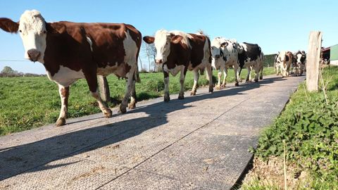 Témoignage Valisol Témoignage Valisol