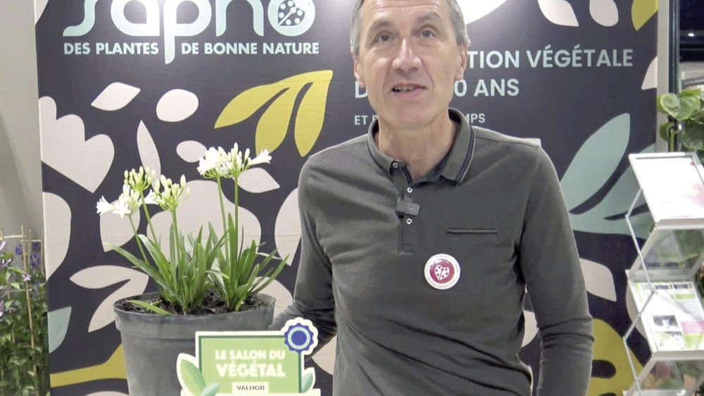 Jean-Paul Davasse présente en vidéo Agapanthus africanus Nina® White ‘Monsapho’, récompensée d'un Innovert d’or pendant le dernier Salon du végétal à Angers.