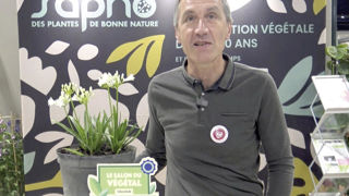 Jean-Paul Davasse présente en vidéo Agapanthus africanus Nina® White ‘Monsapho’, récompensée d'un Innovert d’or pendant le dernier Salon du végétal à Angers. Jean-Paul Davasse présente en vidéo Agapanthus africanus Nina® White ‘Monsapho’, récompensée d'un Innovert d’or pendant le dernier Salon du végétal à Angers.