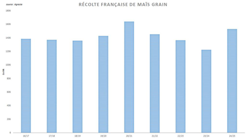 Agreste annonce une récolte française de maïs particulièrement élevée.