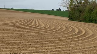 Alors que la filière se développe rapidement, l'UNPT rappelle qu'il est crucial d'adopter une stratégie réfléchie pour éviter une potentielle surproduction et ainsi compromettre la rentabilité des exploitations. Alors que la filière se développe rapidement, l'UNPT rappelle qu'il est crucial d'adopter une stratégie réfléchie pour éviter une potentielle surproduction et ainsi compromettre la rentabilité des exploitations.