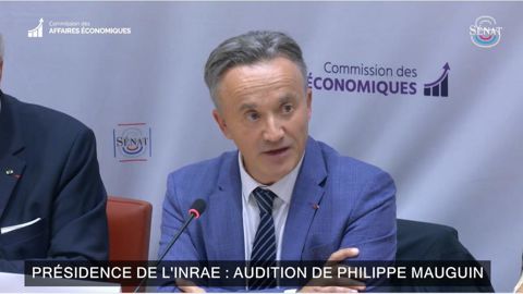 Philippe Mauguin, PDG de l'Inrae, lors de son audition devant le Sénat le 15 octobre 2024.