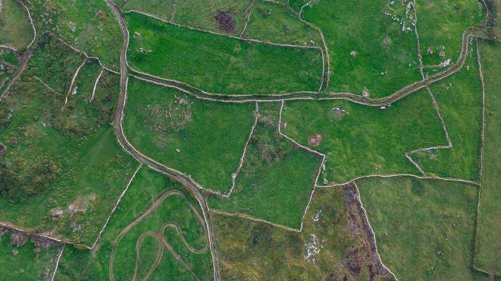 Parcelles agricoles