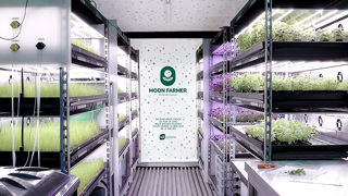 Des containers de culture végétale se développent en France