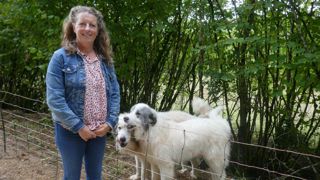 Christelle Regnier, éleveuse d'ovins à Condat-sur-Vézère, en Dordogne, avec deux de ses cinq patous. Christelle Regnier, éleveuse d'ovins à Condat-sur-Vézère, en Dordogne, avec deux de ses cinq patous.