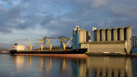 Sur les mois de juillet et août 2024, les chiffres des douanes françaises font état d’une baisse des exportations de blé tendre de l’ordre de 26 %.