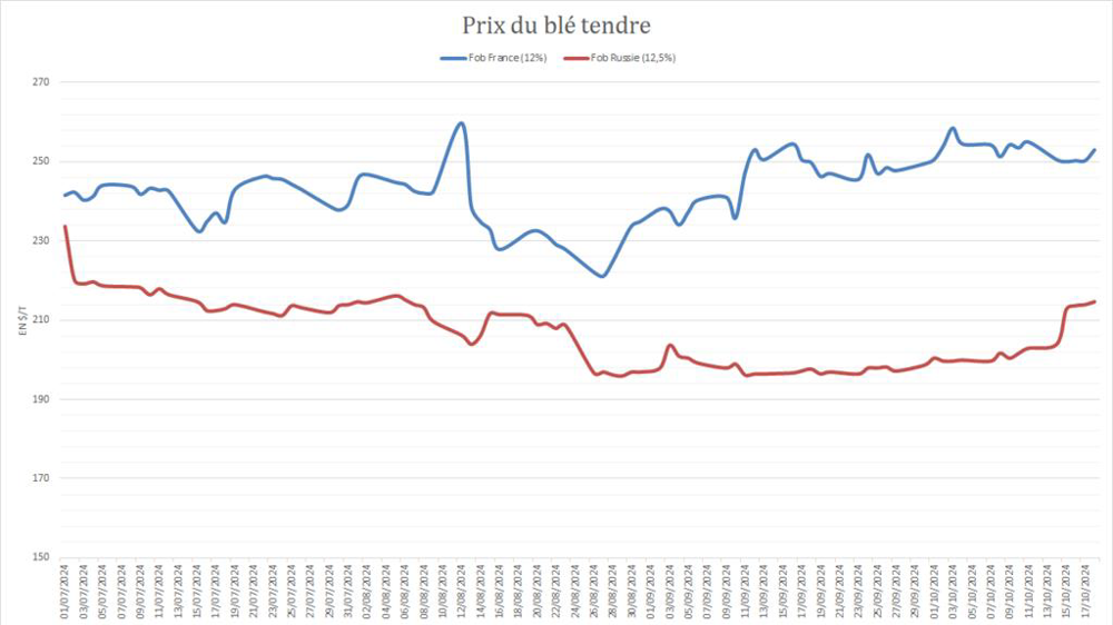 Les prix du blé au départ de la Russie montent à nouveau.