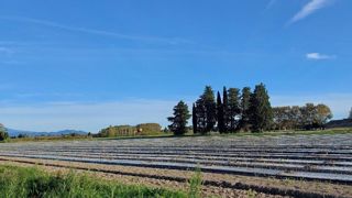 La restructuration dans le Vaucluse aidée par la Safer encourage les investissements. La restructuration dans le Vaucluse aidée par la Safer encourage les investissements.