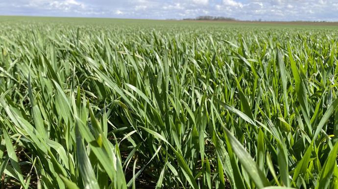 La forte pression des maladies cette année s'est traduite par la hausse de l'utilisation des mélanges de produits sur les parcelles traitées.