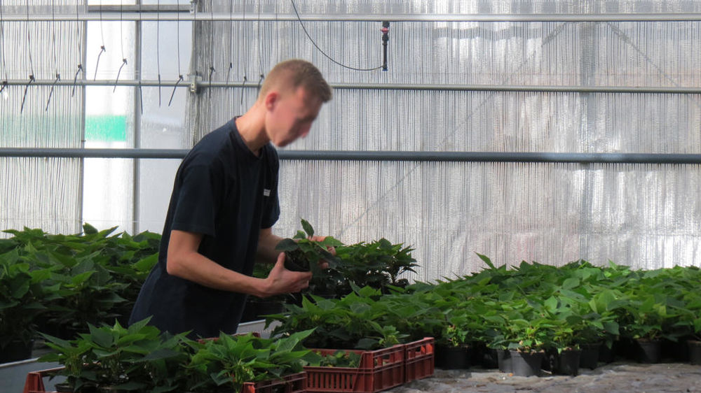 Le Forum installation et transmission agricoles du Var se déroulera cette année le jeudi 28 novembre 2024 dès 9 h au lycée agricole du campus Provence verte à Saint-Maximin-la-Sainte-Baume (83).