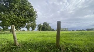 La création physique d'une limite séparative entre deux propriétés implique l'accord de son voisin. La création physique d'une limite séparative entre deux propriétés implique l'accord de son voisin.
