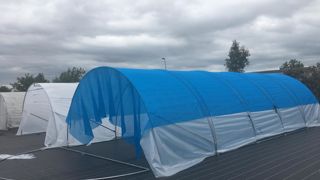 Essais avec une toile d’ombrage bleue pour diminuer l’intensité lumineuse et modifier la qualité du spectre reçu par les plantes.