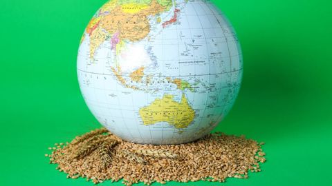 Le contexte économique mondial 2025 ne devrait pas être favorable aux agriculteurs français. Le contexte économique mondial 2025 ne devrait pas être favorable aux agriculteurs français.