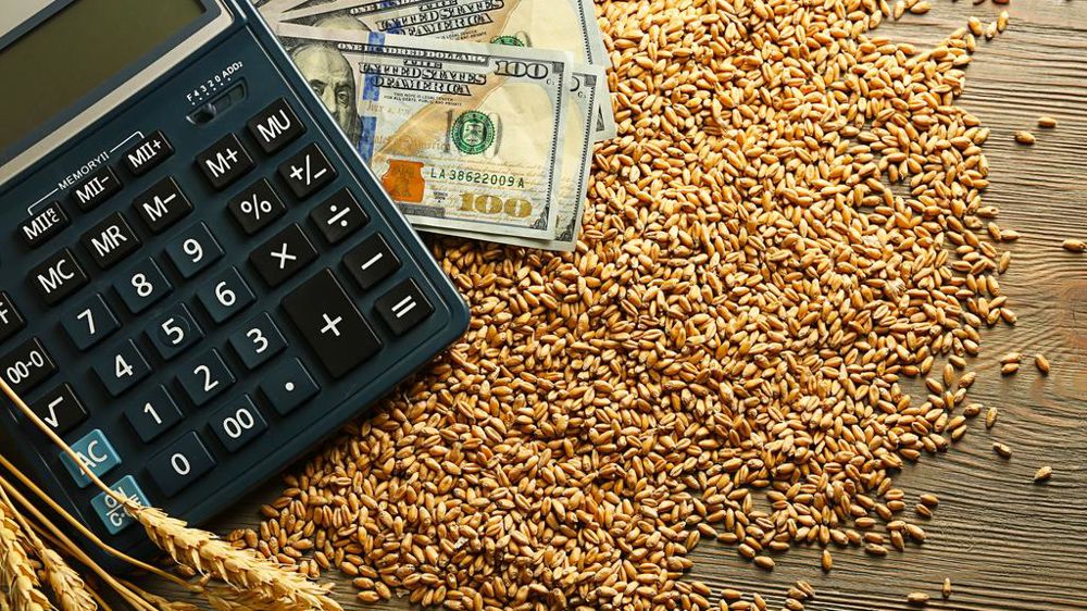 Calculatrice avec grains de blé et billets de banque
