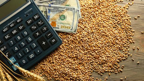 Pour Constant Thirouin, tous les acteurs du marché des céréales sont des spéculateurs, à commencer par les agriculteurs. Pour Constant Thirouin, tous les acteurs du marché des céréales sont des spéculateurs, à commencer par les agriculteurs.