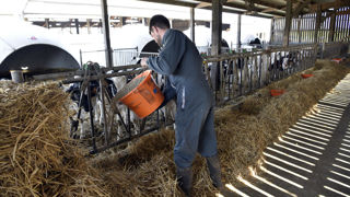 Les chefs d'exploitations représentent un tiers de l'emploi agricole. (Image d'illustration en Mayenne.) Les chefs d'exploitations représentent un tiers de l'emploi agricole. (Image d'illustration en Mayenne.)