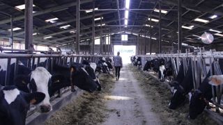 Malgré un temps de travail très important, la majorité des éleveurs de l'étude estiment se réaliser à travers leur métier et apprécient leur autonomie.