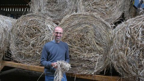 Sylvain Fraysse a produit 4,5 hectares de chanvre textile cette année, avec un rendement de 4 à 6 t/ha. Une culture aux nombreux avantages, « mais il faut prendre en compte la question du stockage et de l'immobilisation ».