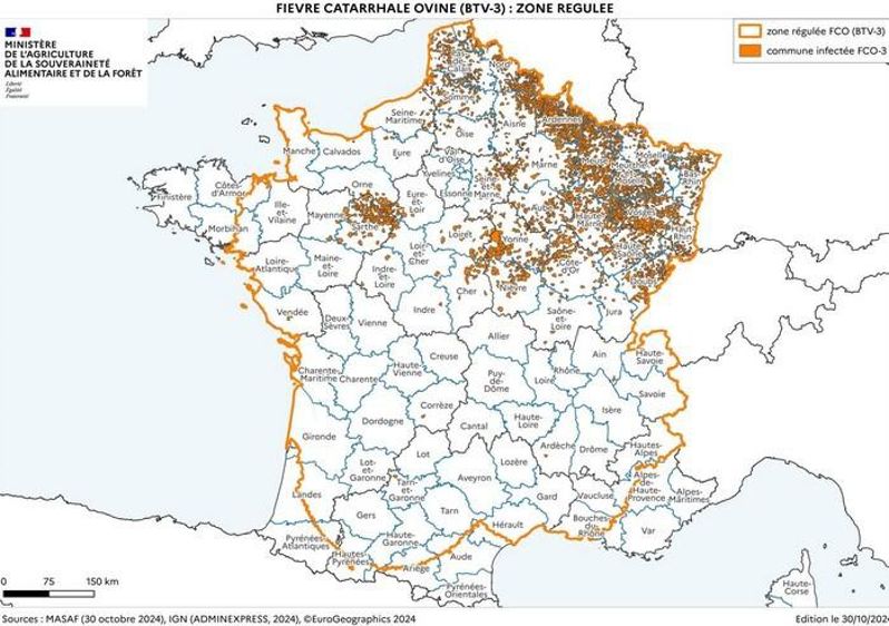La quasi-totalité de la France est en zone régulée FCO-3