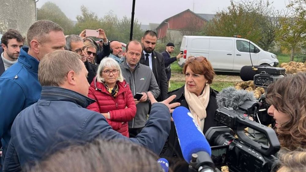 Annie Genevard, ministre de l'agriculture, lors d'un déplacement dans une exploitations agricole de l'Essonne jeudi 31 octobre 2024.