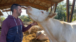 Pour David Blandin, le temps investi à apprivoiser les animaux permet de faciliter les soins. Pour David Blandin, le temps investi à apprivoiser les animaux permet de faciliter les soins.