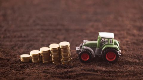 Quels facteurs influencent les écarts dans les revenus agricoles ? Quels facteurs influencent les écarts dans les revenus agricoles ?