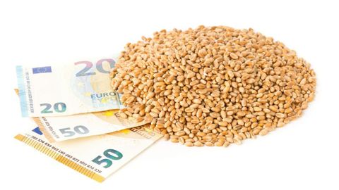 Quels volumes de votre récolte de blé tendre 2024 avez-vous déjà vendus, à quel prix, selon quelles modalités ? Quels volumes de votre récolte de blé tendre 2024 avez-vous déjà vendus, à quel prix, selon quelles modalités ?