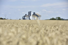Le code rural autorise le coopérateur à démissionner en cas de force majeure ou de motif valable au cours d’une période d’engagement Le code rural autorise le coopérateur à démissionner en cas de force majeure ou de motif valable au cours d’une période d’engagement