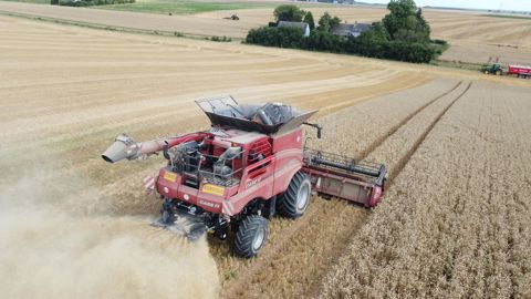 Le broyeur destructeur de graines Redekop placé à l’arrière du caisson de la moissonneuse-batteuse émet une nuisance sonore de 102 db à 10 m.