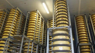 « C’est désormais plus de 25 % de l’emmental proposé à la vente en France qui vient de l’étranger »,estiment Sodiaal et la Coopérative U. « C’est désormais plus de 25 % de l’emmental proposé à la vente en France qui vient de l’étranger »,estiment Sodiaal et la Coopérative U.